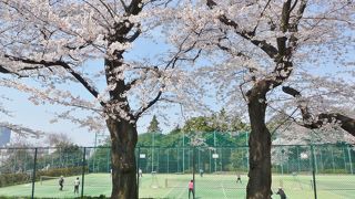 お花見もできそうです