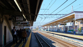 お花見の大宮公園