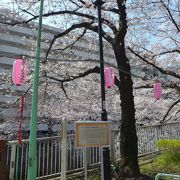 江戸川公園にありました