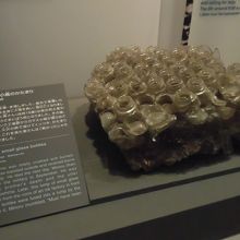 一瞬でこうなる恐ろしさ