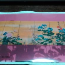 クリアファイル裏