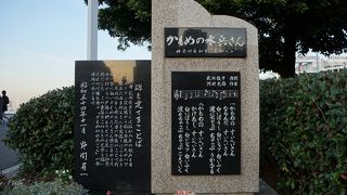 今でも周辺にはたくさんのカモメ