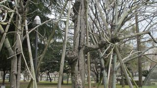 二世と共に立っています