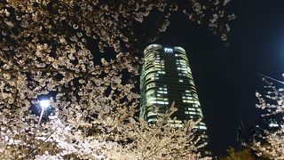 桜越しの光景が美しい