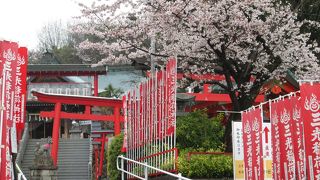 紅い鳥居と桜のコラボ