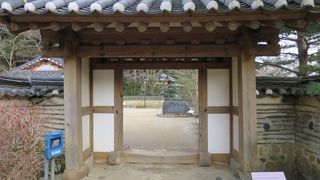 似てるようで似てない