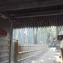 山門から見える竹林