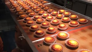 めちゃめちゃハマったチーズタルト♡