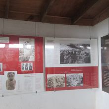 写真等が展示されています