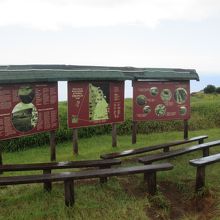 散策路の説明板