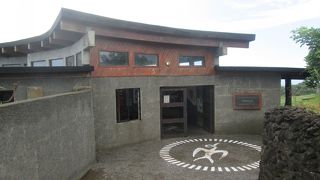 南太平洋を眺めながら散策