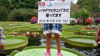 植物に癒される空間