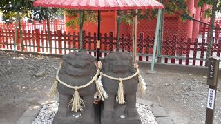 小さいけど可愛い♪