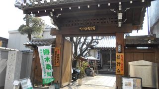 須賀町にある日蓮宗寺院です