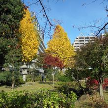 園内の日本庭園