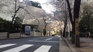ここは外せないな、港区赤坂の桜坂