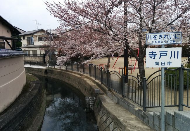 ～★☆西国街道の下を流れる寺戸川☆★～