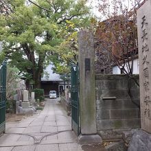 本堂の前の巨木に注目