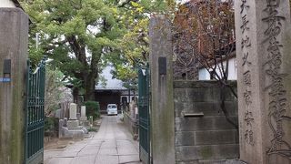 本堂より巨木が圧倒的存在感。