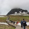 小動物と高山植物に出逢える楽しいトレイル