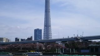 さくらまつりが開催されていました