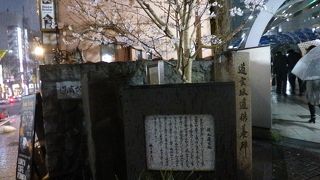 桜に囲まれていました