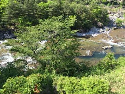 鬼怒川温泉 若竹の庄 別邸笹音 写真