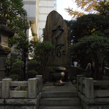 力強さを感じます