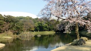 琵琶湖を模した大きな池