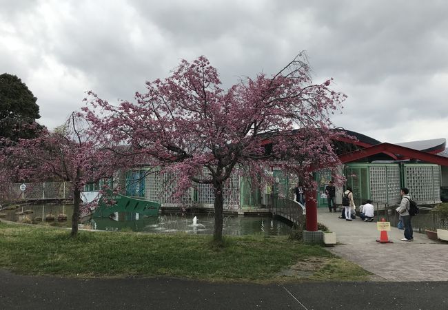 芥川の生物に関する博物館