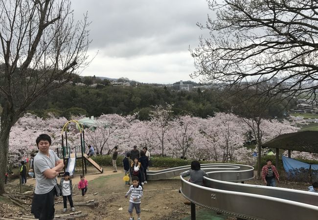 摂津峡さくらまつり