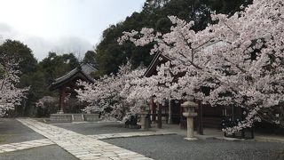 アクセスには難ありですが、行く価値は十分あります