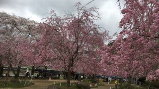 笠置山自然公園