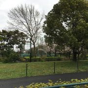 大きな公園です