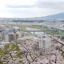五月山から眺める猪名川
