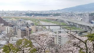 北摂エリア有数のさくらの名所