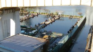 都会のど真ん中の本格釣り堀