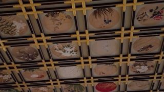 見事な天井