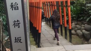 赤い鳥居が連なる光景