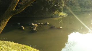 これが竹生島とは、ね