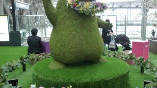 ５月末まで芝生と花のガーデンになっていました