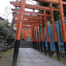 鳥居の列。