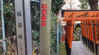 階段ですが。名称は「坂」です。