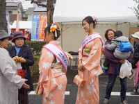 日立さくらまつり