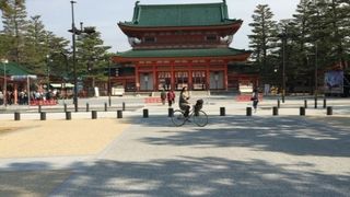 紅枝垂れ桜はまだ蕾