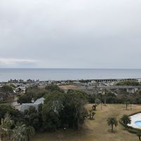 オーシャンビューってやつでした