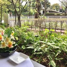 テラス席からの景色