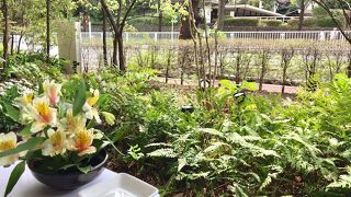 “ホットケーキが有名な行列カフェ