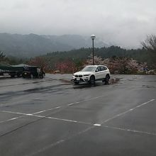 こう見ると何だか寂しいですが