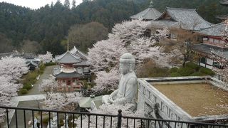 奈良盆地を臨む山上の名刹